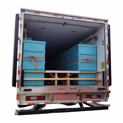 Marfrukta Transporto Fridigita Kamiono